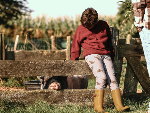 Un niño con botas se apoya en una cerca de madera con un cerdo detrás en BoerenBed De Kalverweide, Overijssel.