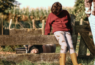 Un niño con botas se apoya en una cerca de madera con un cerdo detrás en BoerenBed De Kalverweide, Overijssel.