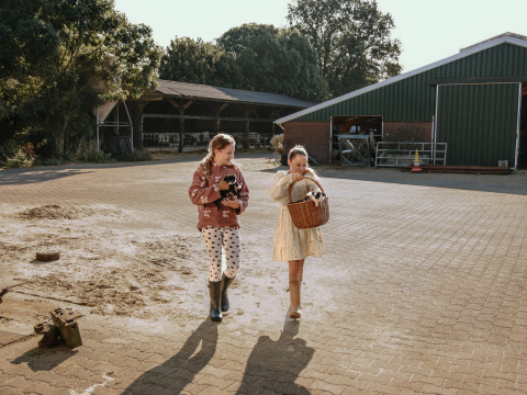 Dos niños caminan por el patio de BoerenBed De Kalverweide en Overijssel, Países Bajos, con animales pequeños.