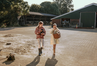 Dos niños caminan por el patio de BoerenBed De Kalverweide en Overijssel, Países Bajos, con animales pequeños.