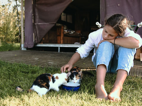 Una niña descalza se sienta en el césped en BoerenBed De Kalverweide, Overijssel, acariciando a dos gatos.