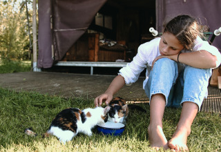 Una niña descalza se sienta en el césped en BoerenBed De Kalverweide, Overijssel, acariciando a dos gatos.