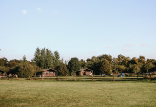Vista del parque vacacional BoerenBed De Kalverweide en Overijssel, Países Bajos, con cabañas y campos verdes.