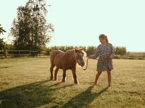 Una niña con vestido a cuadros pasea un poni en un campo verde en BoerenBed De Kalverweide, Overijssel, Países Bajos.