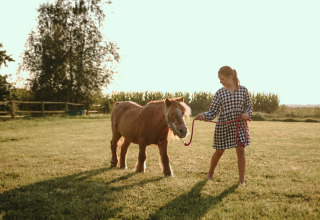 Una niña con vestido a cuadros pasea un poni en un campo verde en BoerenBed De Kalverweide, Overijssel, Países Bajos.