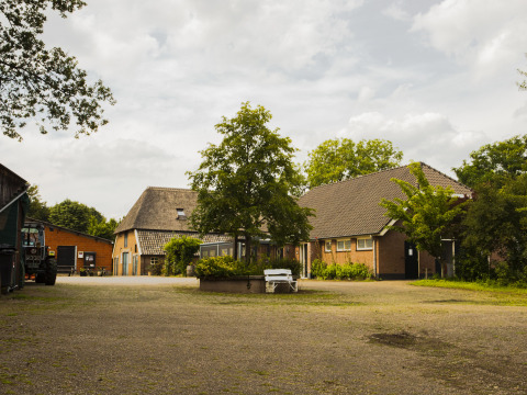 Paysage du parc de vacances BoerenBed Het Boshuis à Gelderland, Pays-Bas, avec bâtiments rustiques et arbres.