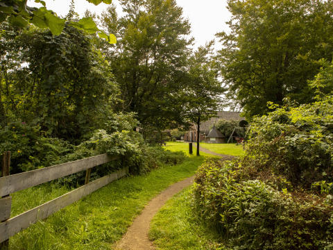 Ein schmaler Weg führt durch grüne Vegetation zu einem Ferienhaus im BoerenBed Het Boshuis in Gelderland.