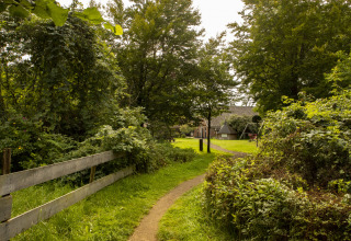 Un chemin sinueux traverse la verdure vers un gîte à BoerenBed Het Boshuis, un parc de vacances aux Pays-Bas.