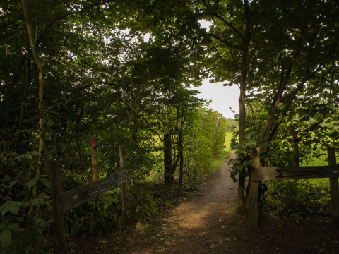 Waldweg mit Wegweisern in BoerenBed Het Boshuis, einem Ferienpark in Gelderland, Niederlande.