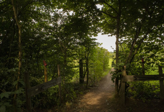 Sendero boscoso con señales de madera en BoerenBed Het Boshuis, parque vacacional en Gelderland, Países Bajos.