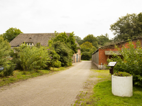 Landweg bij BoerenBed Het Boshuis vakantiepark in Gelderland, Nederland, omgeven door veel groen.