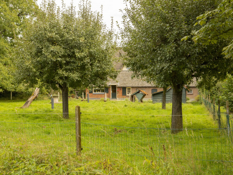 Uitzicht op een boerderij achter bomen en hek bij BoerenBed Het Boshuis in Gelderland, Nederland.