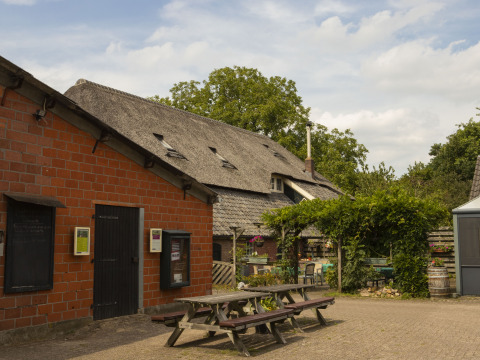 Casa de campo con techo de paja y asientos al aire libre en BoerenBed Het Boshuis, Gelderland, Países Bajos.
