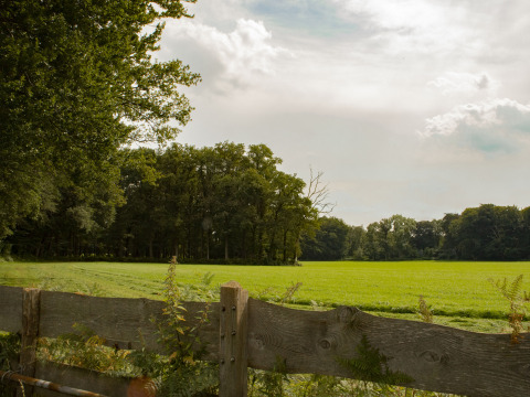 Landschaftsbild mit grüner Wiese und Bäumen hinter einem Holzzaun im BoerenBed Het Boshuis, Gelderland, Niederlande.
