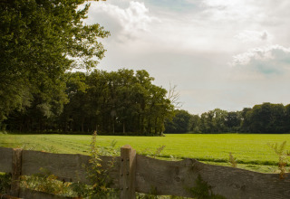 Vista panorámica de campo verde y árboles detrás de una cerca en BoerenBed Het Boshuis, Gelderland, Países Bajos.
