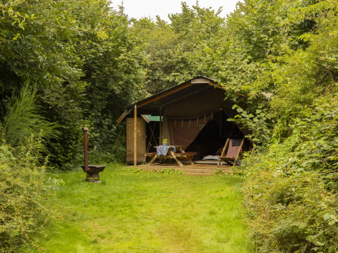 Et rustikt telt skjuler sig blandt træerne på BoerenBed Het Boshuis feriepark i Gelderland, Holland.