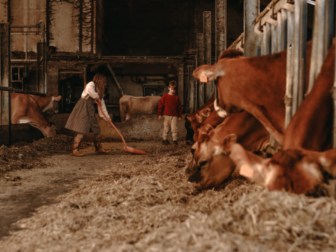 Kinderen werken in een stal op BoerenBed Hoeve den Overdraght in West-Vlaanderen, België, tussen koeien.
