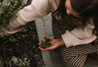 A child in a sweater picks fresh herbs from a garden at BoerenBed Hoeve den Overdraght in West Flanders, Belgium.