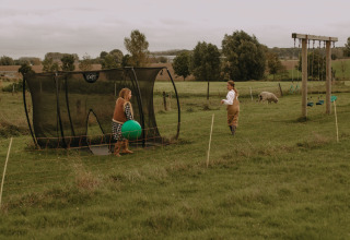 Dos niños juegan cerca de un trampolín y columpios en un campo con ovejas en BoerenBed Hoeve den Overdraght.
