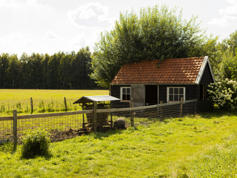 Bauernhaus mit rotem Dach und Weidezaun im Ferienpark BoerenBed De Lange Weide in Drenthe, Niederlande.