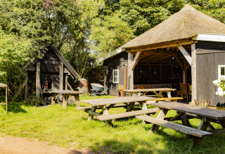 Sonniger Außenbereich mit Holzbänken und Strohdach bei BoerenBed De Lange Weide, Drenthe, Niederlande.