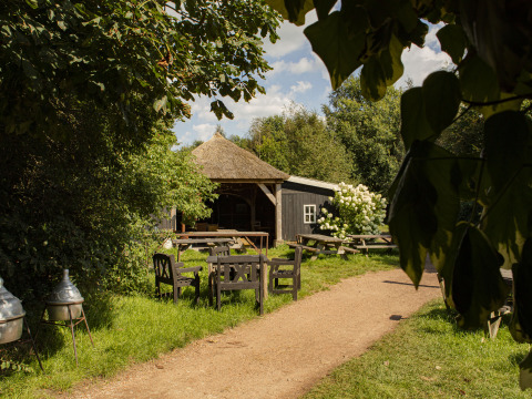 Zona exterior rodeada de naturaleza en BoerenBed De Lange Weide, parque vacacional en Drenthe, Países Bajos.