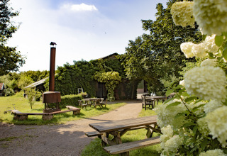 Udendørs siddeområde med træborde og blomster ved BoerenBed De Lange Weide i Drenthe, Holland.