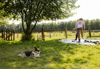 Children playing on the grass near a trampoline as a dog rests under trees at BoerenBed De Lange Weide, Drenthe.