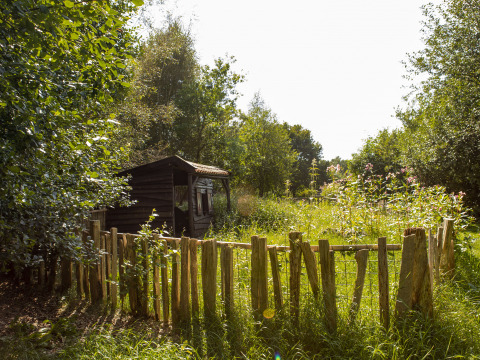 Cabaña y valla de madera entre vegetación en BoerenBed De Lange Weide, parque vacacional en Drenthe, Países Bajos.
