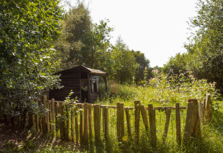 Hytte og træhegn omgivet af grønt ved BoerenBed De Lange Weide feriepark i Drenthe, Holland.