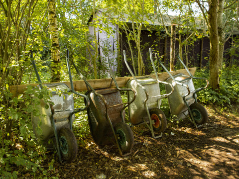 Quatre brouettes rangées contre une clôture en bois à BoerenBed De Lange Weide, un parc de vacances à Drenthe, Pays-Bas.