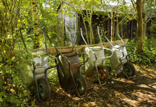 Four wheelbarrows lined up against a wooden fence in a wooded area at BoerenBed De Lange Weide, Drenthe, Netherlands.