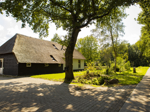 Thatched roof farmhouse and shaded garden at BoerenBed De Lange Weide holiday park in Drenthe, Netherlands.