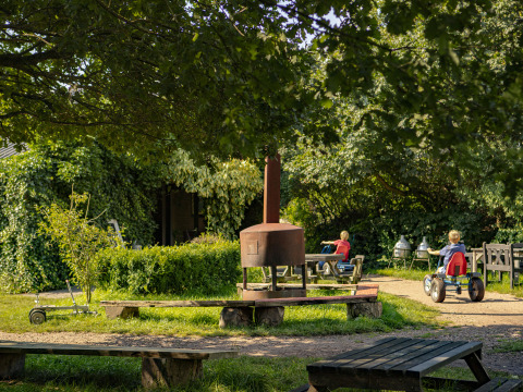 Children play outdoors in the green surroundings of BoerenBed De Lange Weide holiday park in Drenthe, Netherlands.