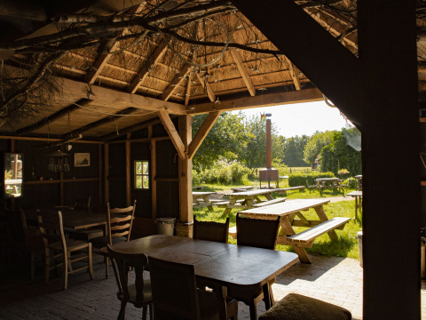 Blick von einer gemütlichen Holzhütte mit Tischen hinaus auf sonnige Picknickbänke im Grünen in Drenthe.