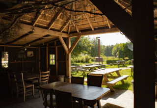Vista desde un acogedor comedor rústico con mesas de madera hacia bancos de picnic soleados en Drenthe.