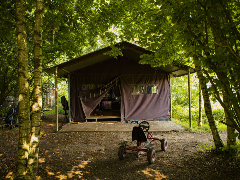 Tenda al BoerenBed De Lange Weide, Drenthe, Paesi Bassi, circondata da alberi e una macchinina a pedali.