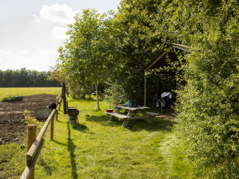 Table de pique-nique et abri dans un espace vert au BoerenBed De Lange Weide, parc de vacances à Drenthe, Pays-Bas.
