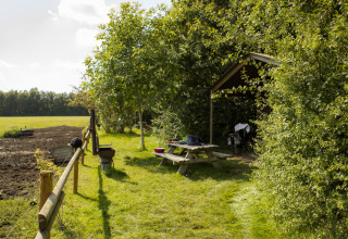 Picknicktafel en overkapping in het groen bij BoerenBed De Lange Weide, vakantiepark in Drenthe, Nederland.