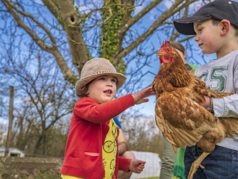 Twee kinderen aaien een kip buiten bij BoerenBed L'Étable des Mauges en Anjou, Pays de la Loire, Frankrijk.