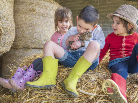 Bambini seduti sulle balle di fieno, un bimbo tiene un coniglio a BoerenBed L'Étable des Mauges en Anjou, Francia.