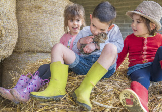 Bambini seduti sulle balle di fieno, un bimbo tiene un coniglio a BoerenBed L'Étable des Mauges en Anjou, Francia.