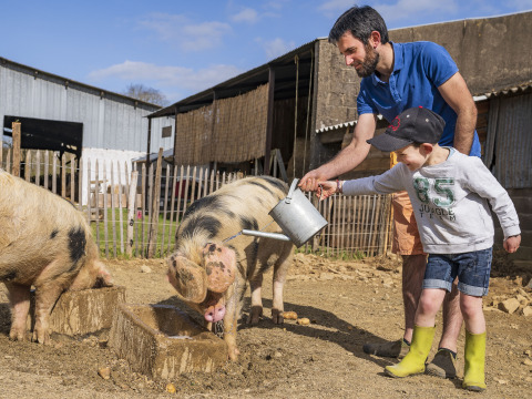 Un uomo e un bambino danno da mangiare ai maiali a BoerenBed L'Étable des Mauges en Anjou, in Francia.