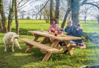 Una famiglia e il loro cane si godono un picnic su un tavolo di legno a BoerenBed L'Étable des Mauges en Anjou.