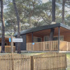 Glamping accommodation at Sentido Spina Premium Camp – Lodges Emilia-Romagna nestled in a pine forest.