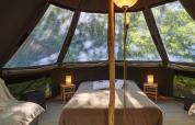 Interior of the Inuit Forest Tent at Campsite Des Randonneurs, France, featuring bed, lamps, and forest views.