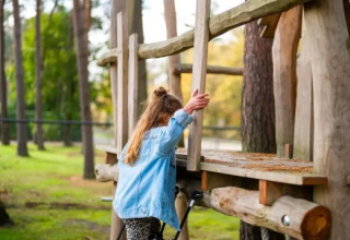 Una niña sube a un parque infantil de madera en Holiday park Molenvelden, rodeada de árboles en Brabante Septentrional.