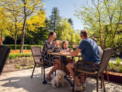 Family enjoys an outdoor meal with their dog at Holiday park Molenvelden, surrounded by trees in sunlight.