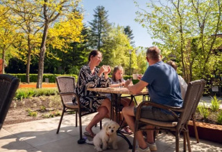 Familie nyder måltid udendørs med hund på feriepark Molenvelden, omgivet af grønne træer og solskin.