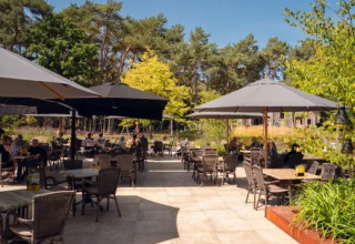Udendørs terrasse med parasoller og gæster i ferieparken Molenvelden, omgivet af grønne træer i Brabant.